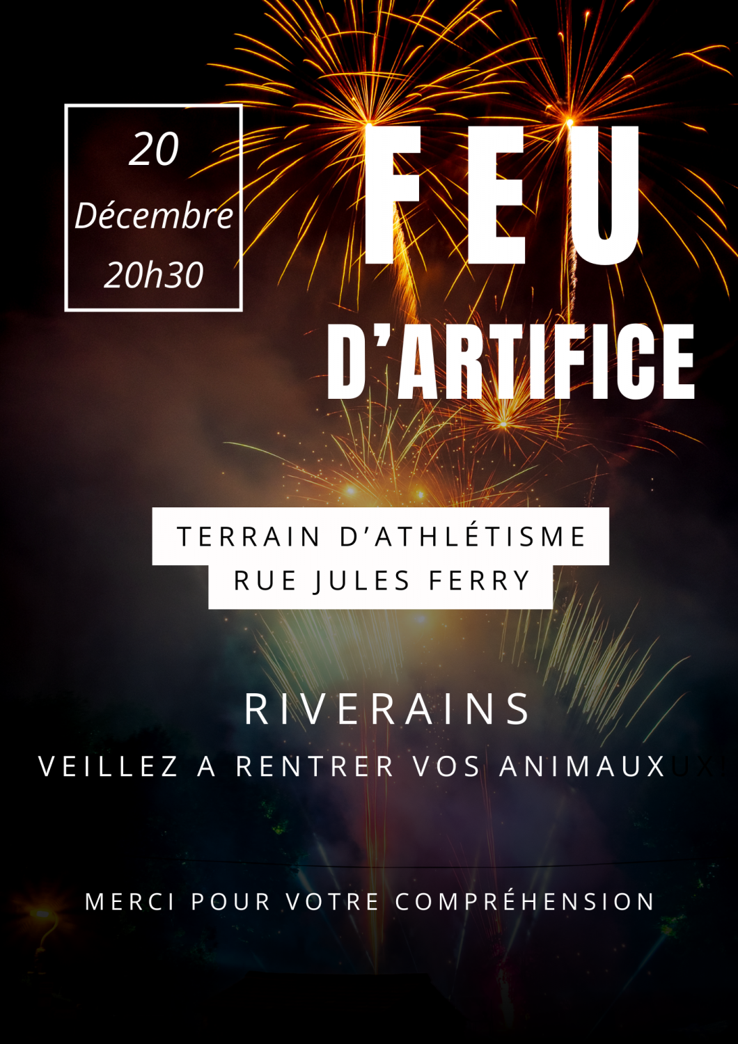 Flyer_feu_artifice_14_juillet_fAte_nationale_AvAnement_moderne_photo_blanc_2