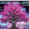 [Photo] - Concert de l'association Gwallspered - 2024-05-25
